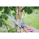 Terrateck Nursery Tree Caliper
