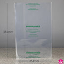 Biodegradable Bag  10" x 15"