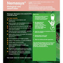 Vine Weevil Nematodes - 100 Sqm - Biological Pest Control