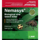 Vine Weevil Nematodes - 12 Sqm - Biological Pest Control