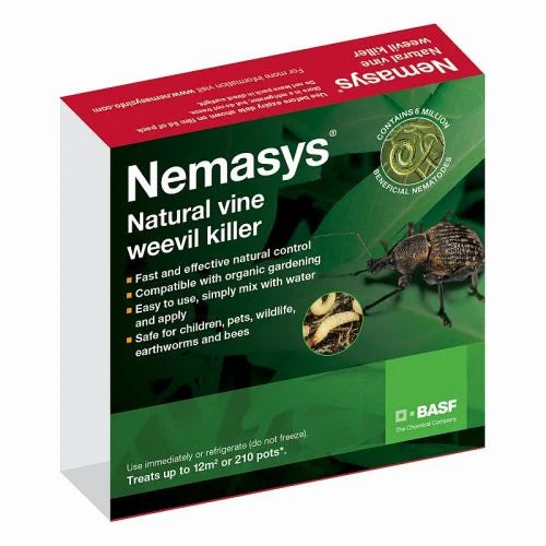 Vine Weevil Nematodes - 12 Sqm - Biological Pest Control