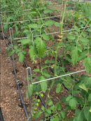 LowCat or Wicket Risers