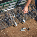 Johnny's Seeds Snap-in Dibble for Seed Bed Roller