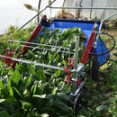 Terrateck Babyleaf Harvester (80cm)