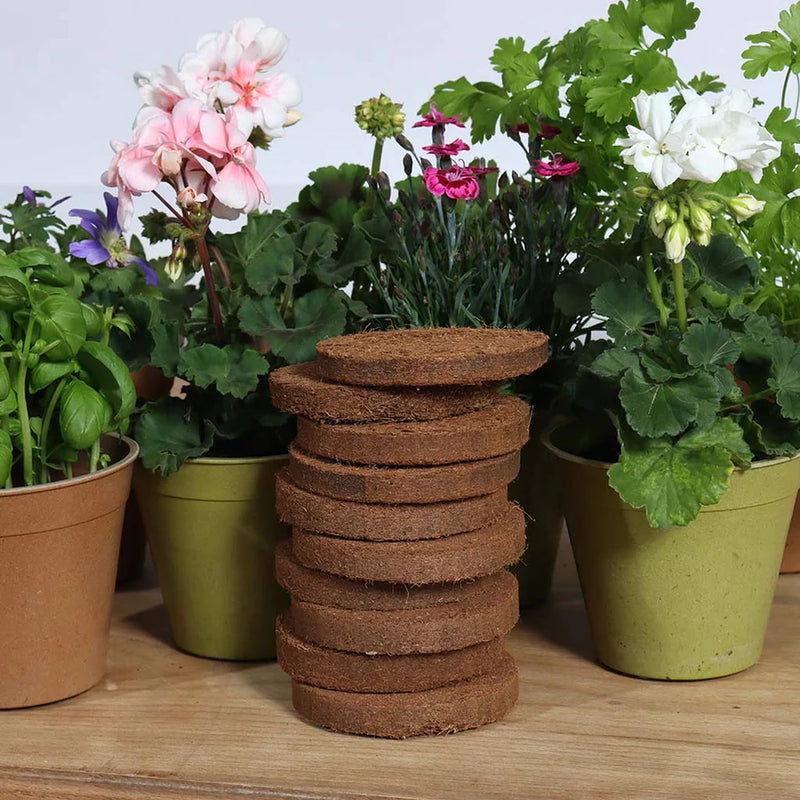 Growlite Peat-Free Multi-use Coir Based Growing Medium 20g Discs