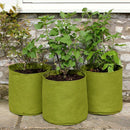 Vigoroot Pots (3 Pack)