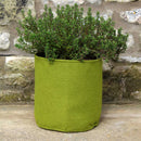 Vigoroot Pots (3 Pack)