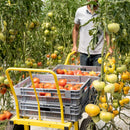 Market Gardening Cart - Double Wheel