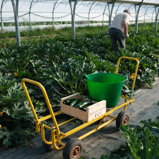 Picking Trolley for Tight Rows