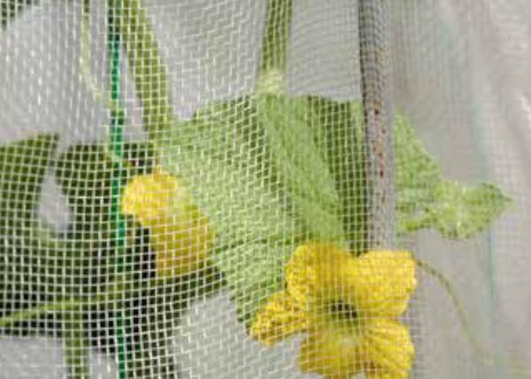 Standard Woven Insect Netting