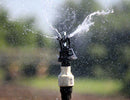 Wobbler Sprinkler Head