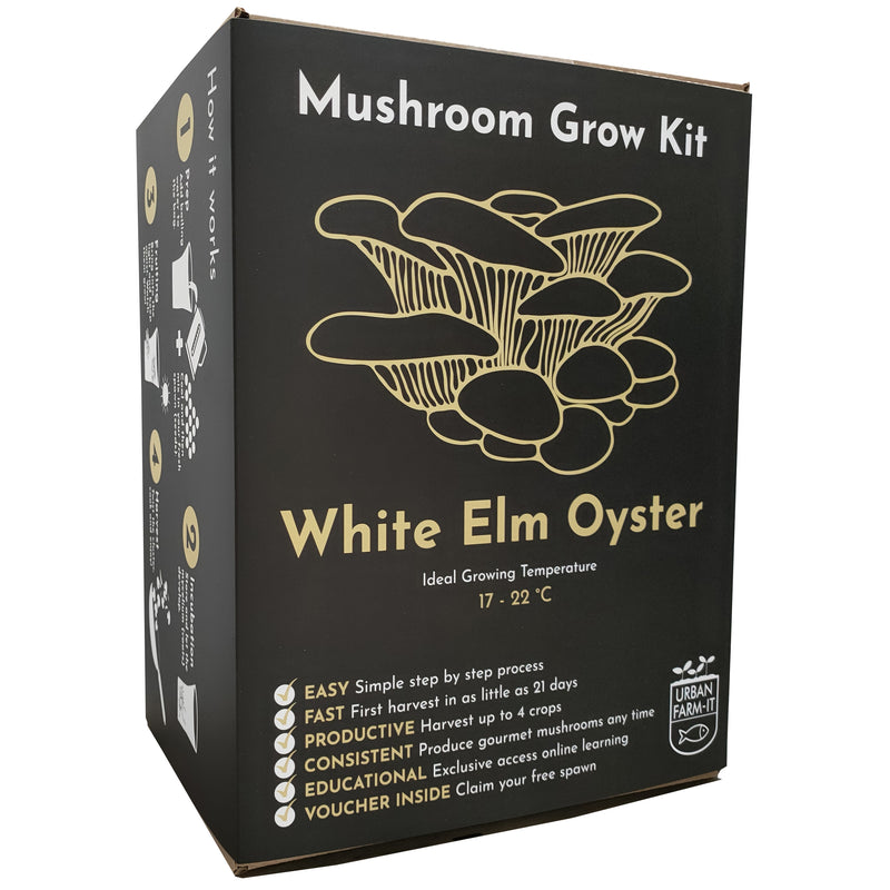 White Elm Oyster Mushroom Grow Kit