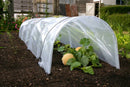Giant Easy Polytunnel
