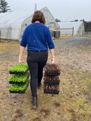 Neversink Tray Carrier