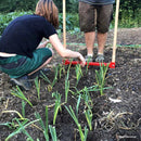 Terrateck Leek Planter