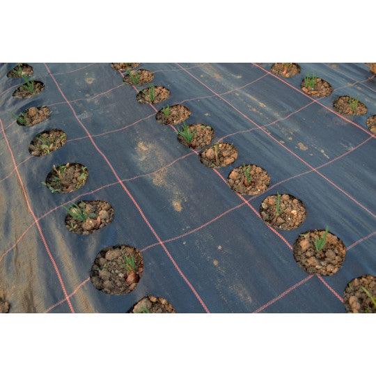 Terrateck Plastic Mulch Hole Burner