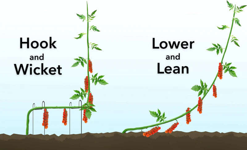 Qlipr Trellising System 100cm Kit for 125 Plants